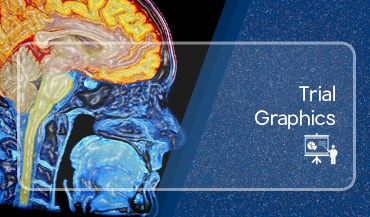 Trial graphics: image of colorized brain CT scan